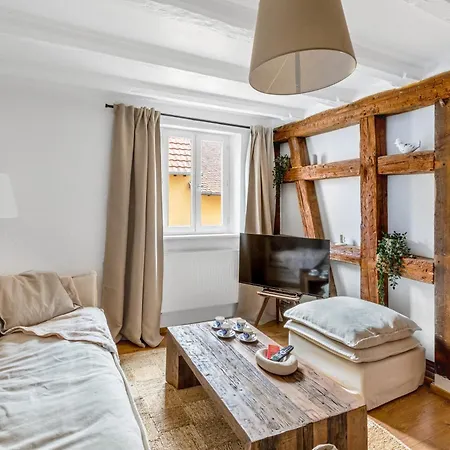 Le Clos Des Vignes, T4, 6p, Ac, Coeur Du Vignoble Appartement Dambach